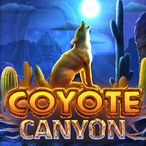 Coyote Canyon