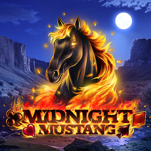 Midnight Mustang