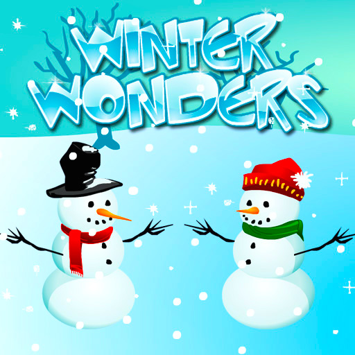 Winter Wonders